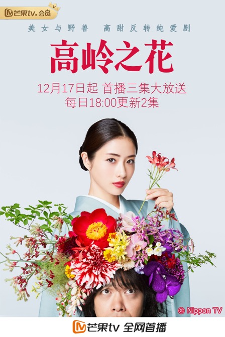 《高岭之花》开播 石原里美演绎现实版"美女与野兽"